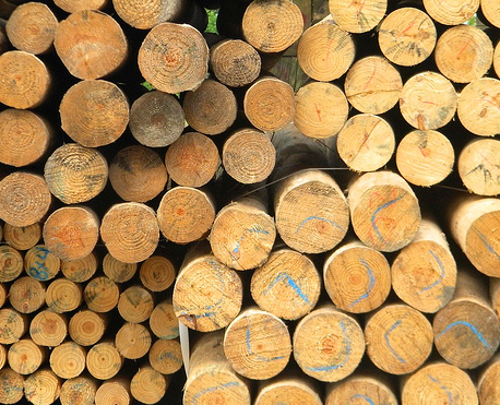 Fire Resistant Lumber