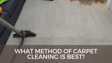 Tried And Tested Tips To Get Rid Of Pet Stains From Carpet